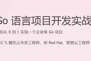 Go 语言项目开发实战 | 已完结