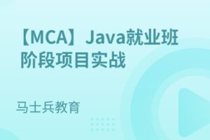 Java就业班阶段项目实战【马S兵教育】| 完结无密