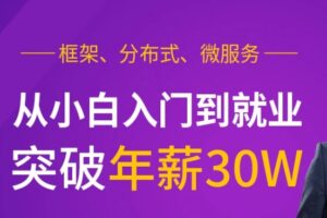 Java就业班 – 框架，分布式，微服务【马S兵教育】| 完结无密