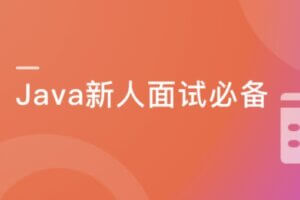 Google面试官亲授-Java面试新手尊享课 | 完结无密