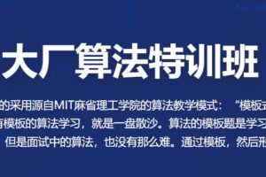 百Z-大厂算法特训班 | 最新完结无密