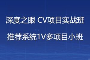 深D之眼-推荐系统1V多项目小班